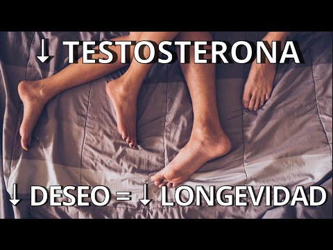 Cómo bajar los niveles de testosterona