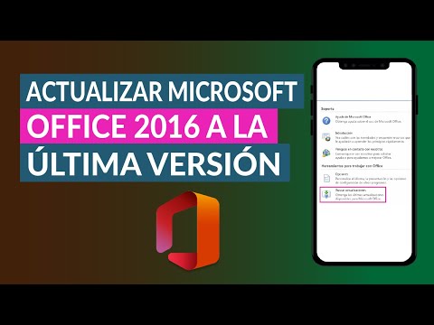 Cómo actualizar Microsoft Office
