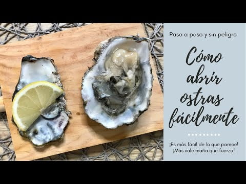 Cómo abrir las ostras