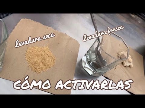 Cómo activar la levadura fresca